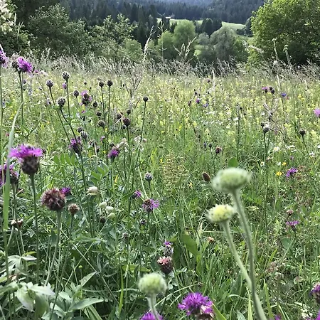 Mit Traumblick, Grossem Balkon Und Terrasse ラア