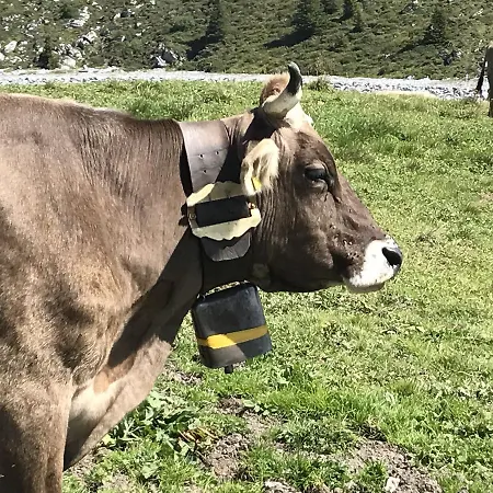 Mit Traumblick, Grossem Balkon Und Terrasse