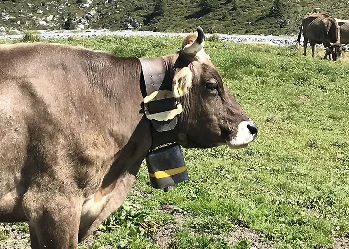 Mit Traumblick, Grossem Balkon Und Terrasse
